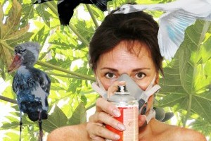 Montecristo: Flora, Fauna, Fantasia by Julia Theek