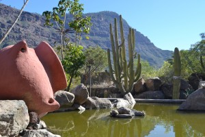 Europas größter Kaktusgarten - Cactualdea