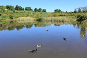 Paradiesisch: La Laguna in Valleseco