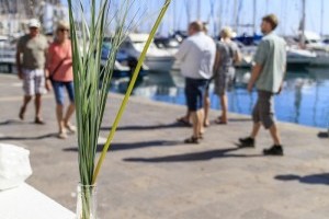 Wandern in Puerto de Mogán?