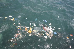 Plastikkontamination an kanarischen Küsten, die Fakten
