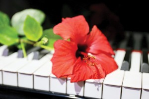 Pianofestival im Auditorio Alfredo Kraus im Mai 2019