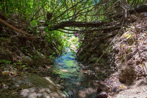 Falkenschlucht - die Route der Wasserfälle im Barranco de Cernícalos