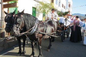 Romerias im August, Kanaren im Brauchtumtaumel