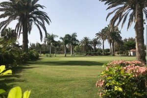 Golfen an den Dünen - Maspalomas Golf