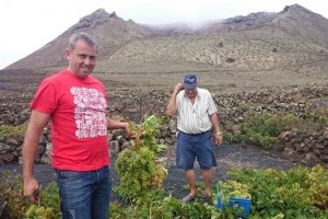 Bodega Malpaís de  Máguez: Der edle Tropfen La Grieta