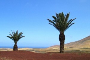 „I love Teguise“ - Eine virtuelle Rundreise
