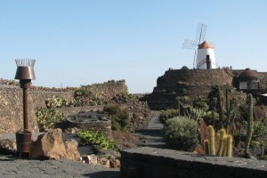 WANDERN: durch den grünen Barranco Tenegüime im Inselnorden