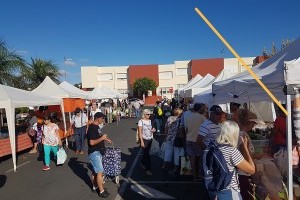 Bauernmärkte öffnen wieder