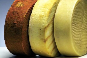 Studie für Milchbestimmung von Ziegenkäse mit Ursprungsschutz D.O.P.