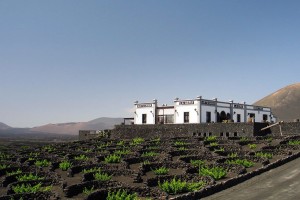 Bodega La Geria, die älteste auf den Kanarischen Inseln