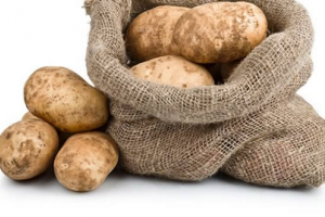 Wie die Kartoffeln Europa eroberten