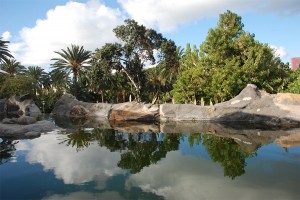 Grünes Villenviertel: Parque Doramas, 7 Gründe für einen Besuch