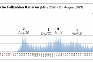 Wochenbericht vom 21. August 2021 - Zahlen fallen weiterhin