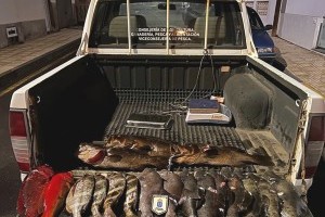 Illegale Fischerei - 29 kg sichergestellt