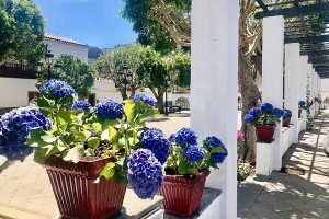 Vega de San Mateo: Weingemeinde macht auf Wandern - neue Routen