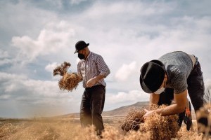 Landwirtschaft als Kulturgut? Buchvorstellung Lanzarote