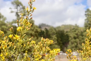 In Aktion - Valsequillo, Wandermesse inklusive