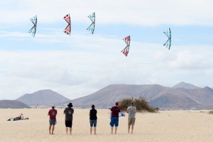 35. Internationales Drachenfliegen Festival 2022 Kiting & Co.