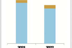 Illegale Migration Jahresabschluss 2022, Spanien, Kanaren