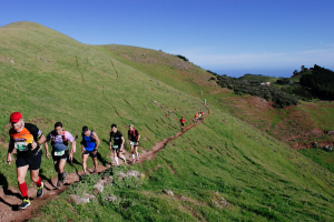 Entre Cortijos - Trail Santa María de Guía