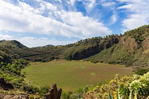 Geführte Wanderungen im April 2023: Caldera de Tejeda & Roque Nublo