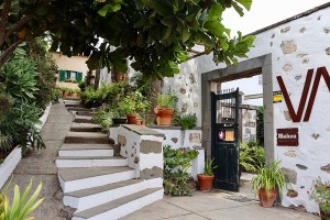 Bodegón Vandama am Monte Lentiscal, Weinanbau in Familientradition