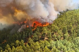 Großbrand Teneriffa - Grund zur vorsichtigen Entspannung zum 22.08.2023