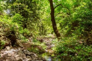 Fiesta in Valleseco - (k)ein Trockenes Tal mit Apfelfest und Pferderennen