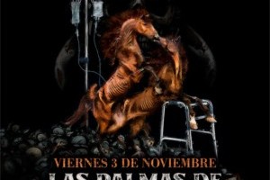 Konzerte im Oktober 2023: Mariachi, Marea, Sylvia Hernández und SUM Festival
