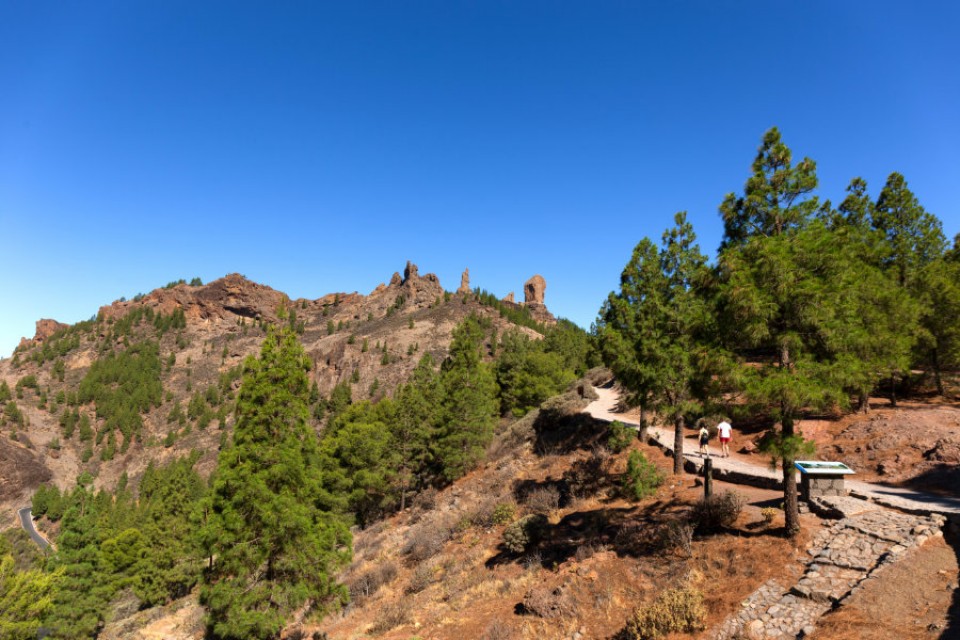 Roque Nublo. Drei auf einen Schlag. Zwischen Pinien und Blüten