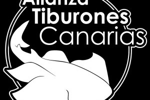 Alianza Tiburones - zum Schutz des Meerengels