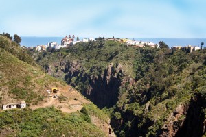 Fauna und Flora in Los Tilos bei Moya