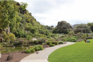 Jardín Canario: Botanischer Park in Tafira bei Las Palmas de Gran Canaria