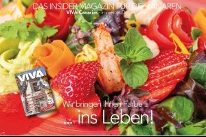 Bleiben Sie informiert - VIVA kommt zu Ihnen, auch per Post, Kombi-Print-Abo