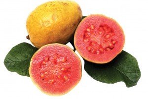 Guave: Von den amerikanischen Tropen auf die Kanaren