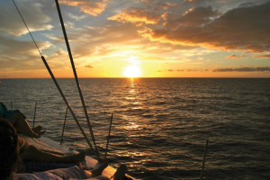 Dem Sonnenuntergang entgegen mit Afrikat Sunset Tour