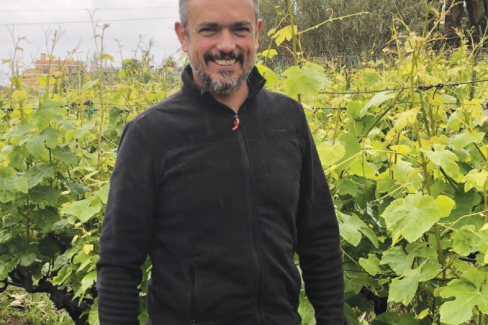 Weinmacher Gabriel Morales Francés über den Boom bei Kanarischen Weinen